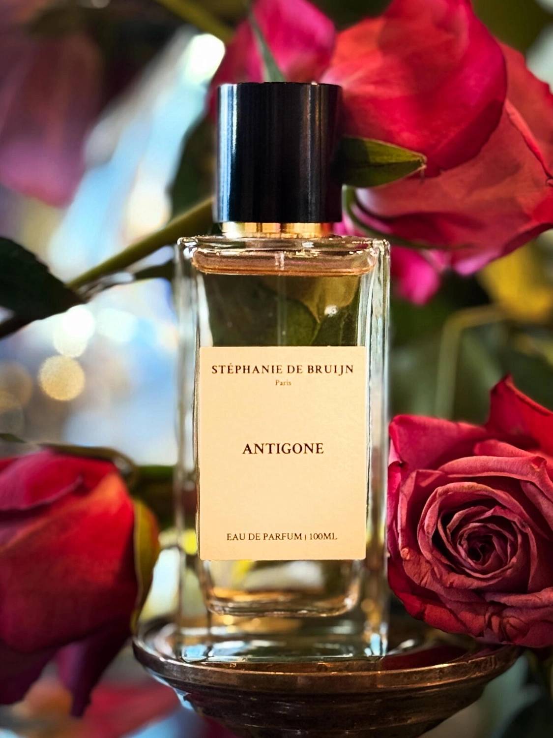 Stéphanie de Bruijn Antigone