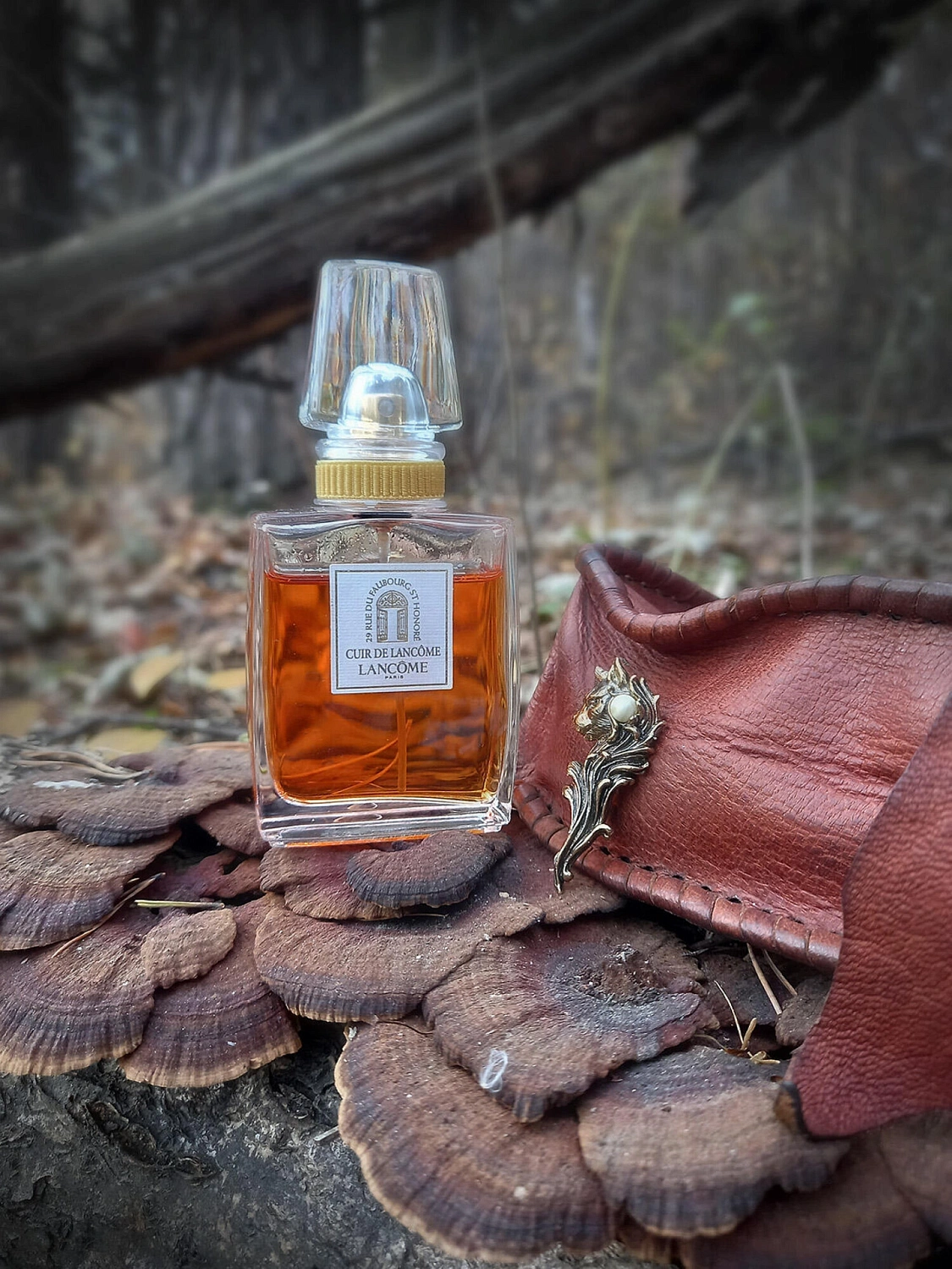 Cuir de Lancôme