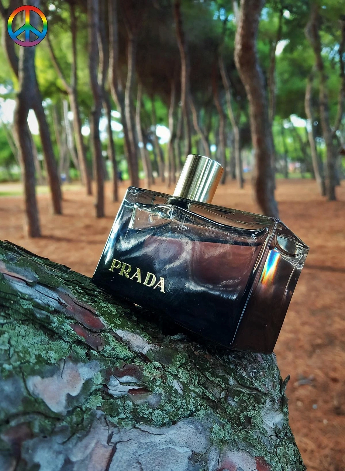 Prada L’Eau Ambree