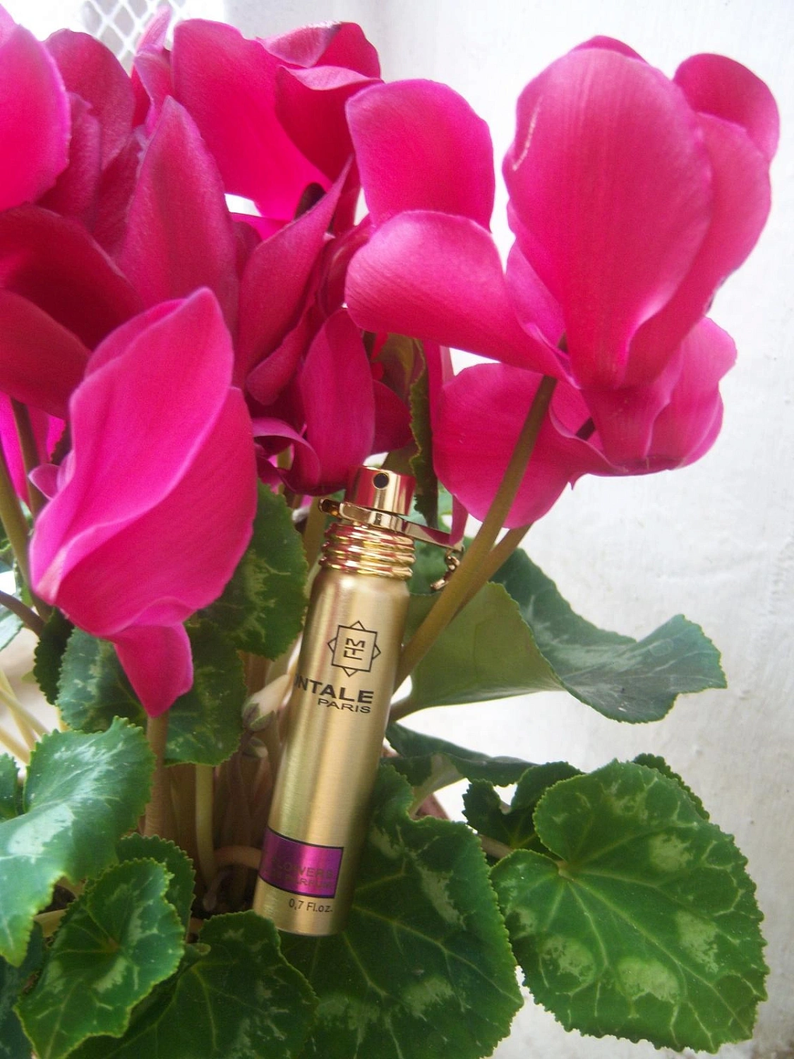 MONTALE Velvet Flowers