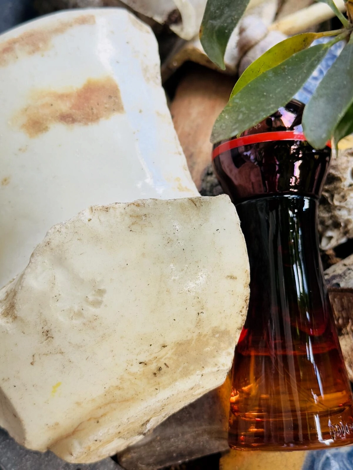 Pierre Cardin Fusion