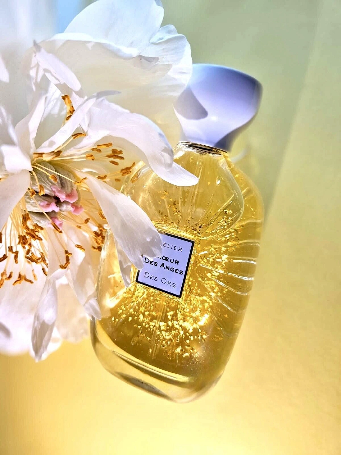 Atelier des Ors Choeur Des Anges