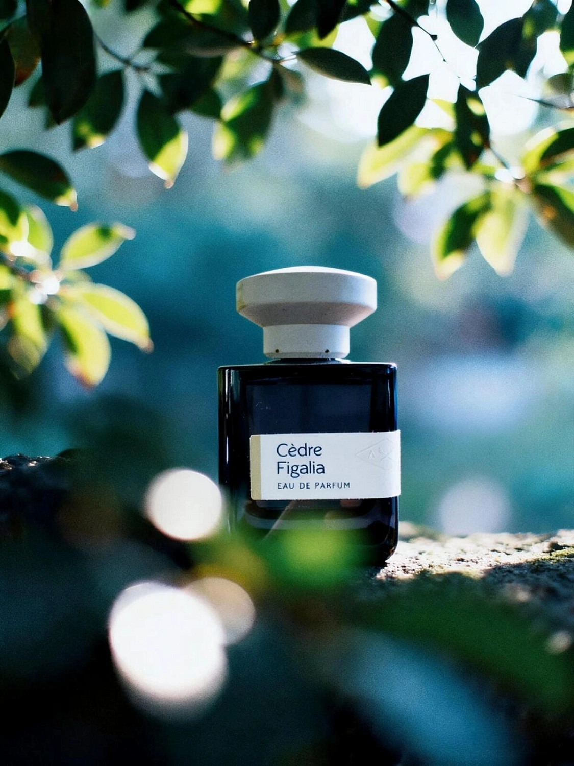 Atelier Materi Cedre Figalia