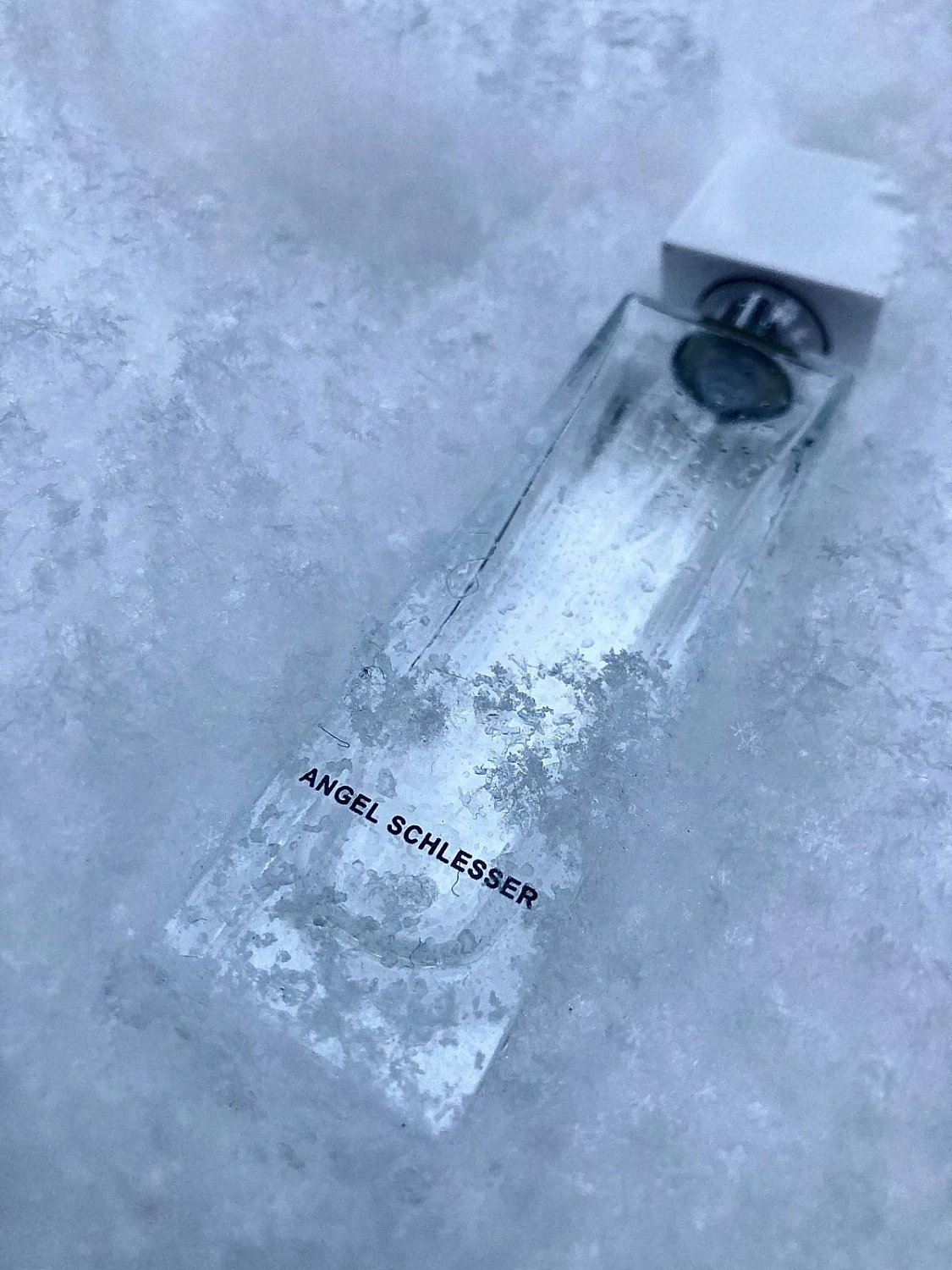 Angel Schlesser Femme