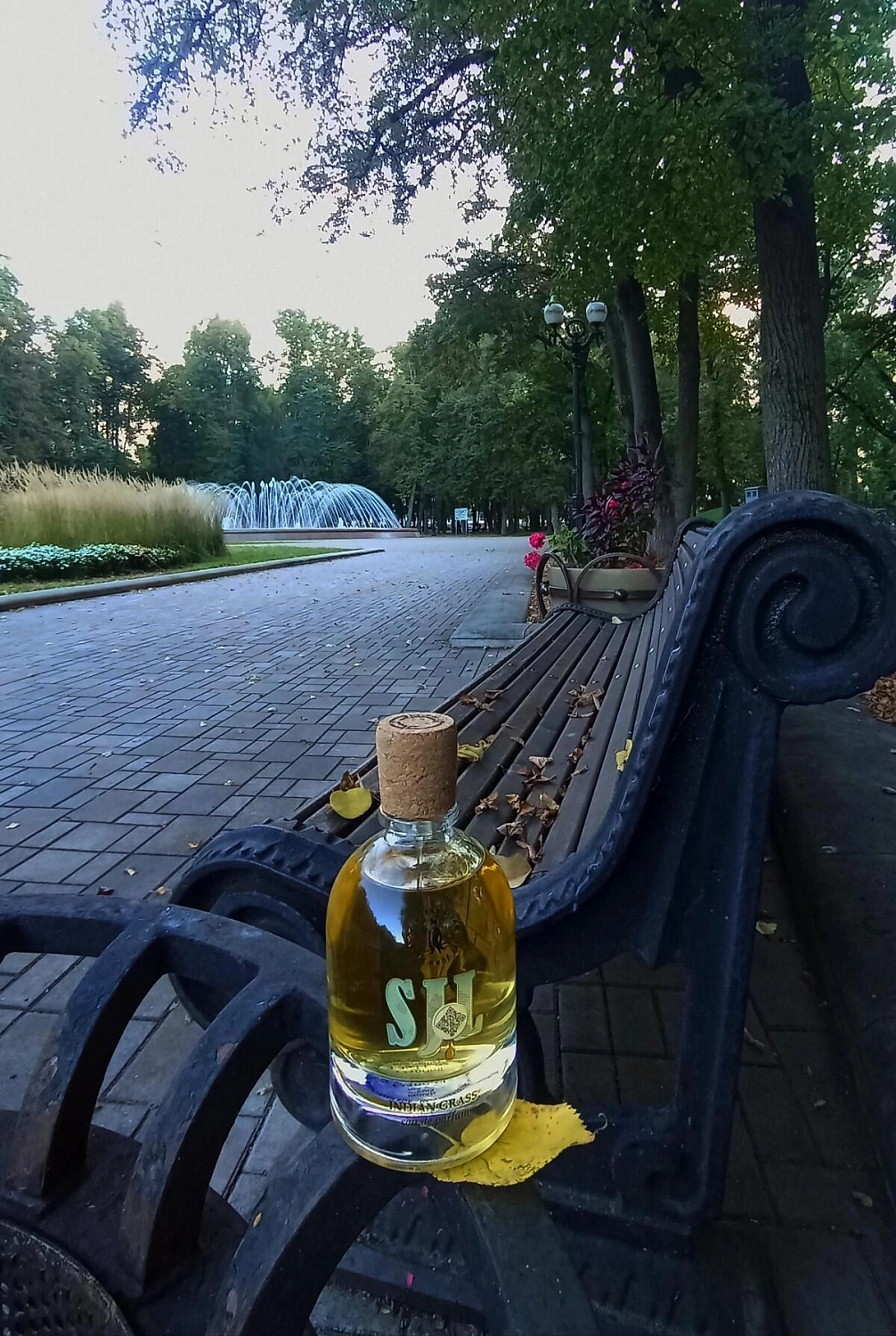 Sly John's Lab Indian Grass