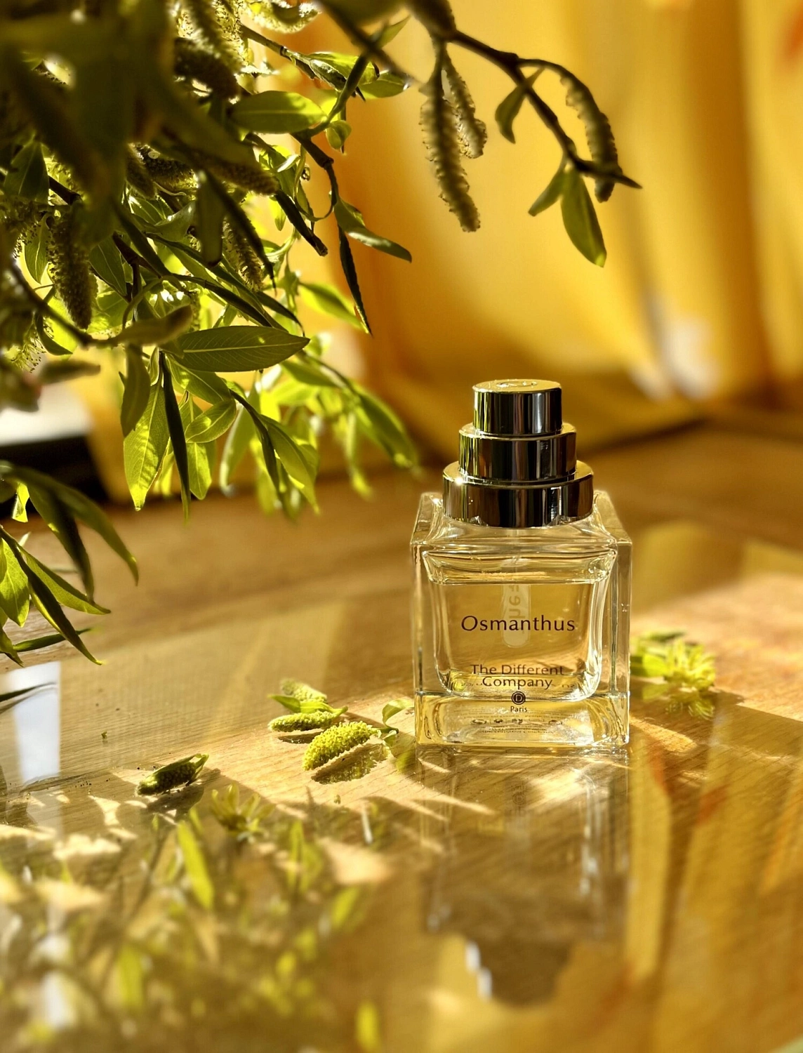 The Different Company Osmanthus