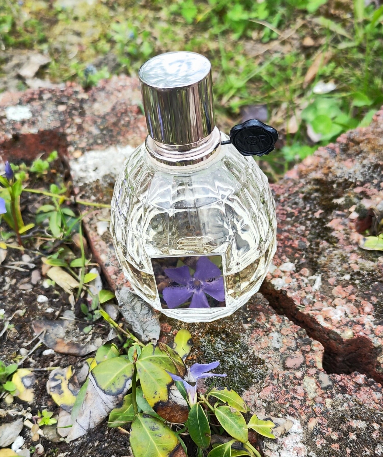 Viktor & Rolf Flowerbomb Eau de Toilette