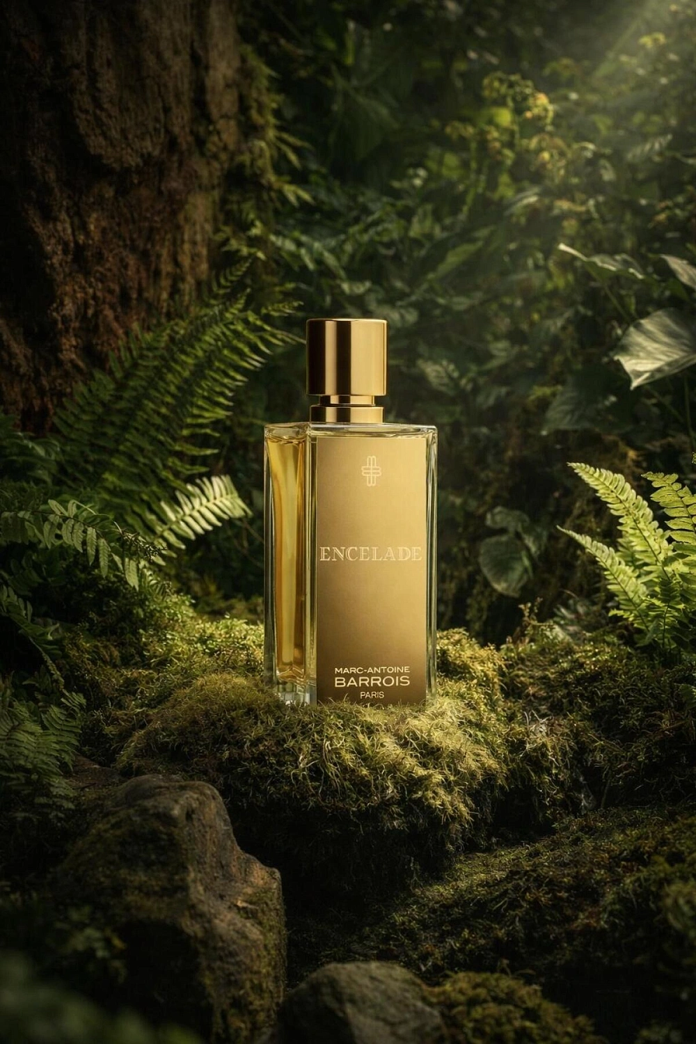 Marc-Antoine Barrois Encelade