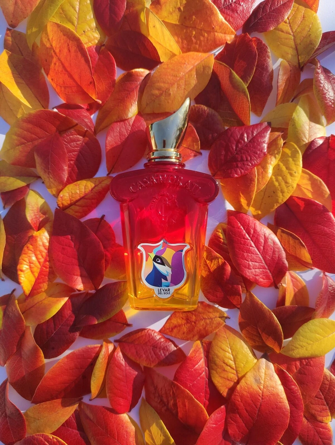 Xerjoff Levar del Sole