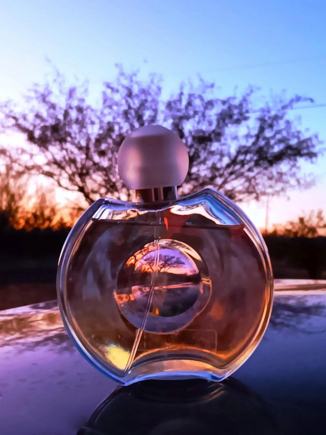 Elizabeth Taylor Forever Elizabeth