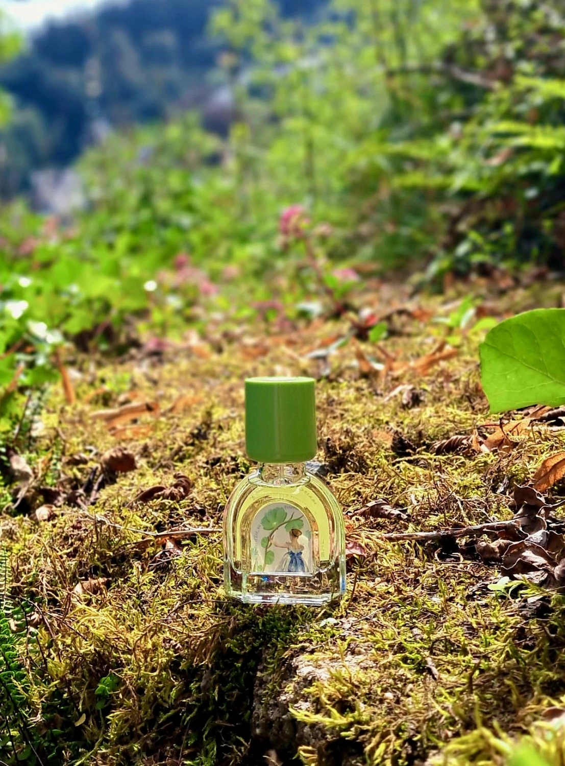 Le Jardin Retrouve Verveine D'Ete