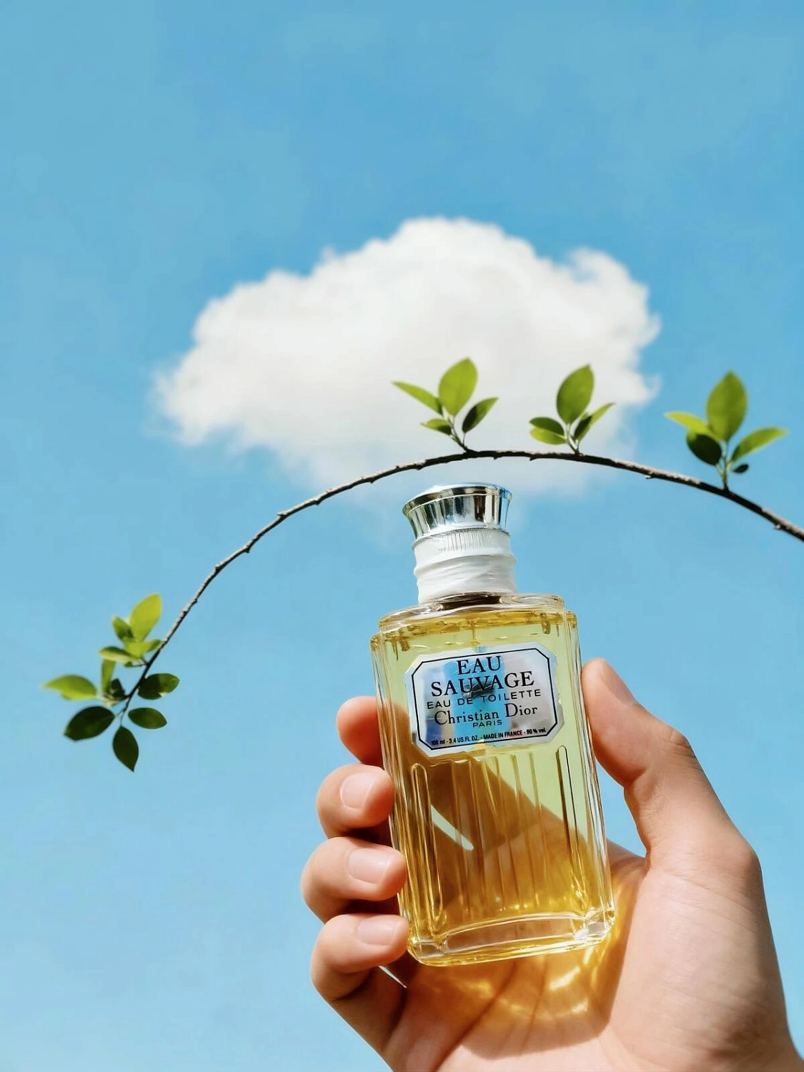 Christian Dior Eau Sauvage