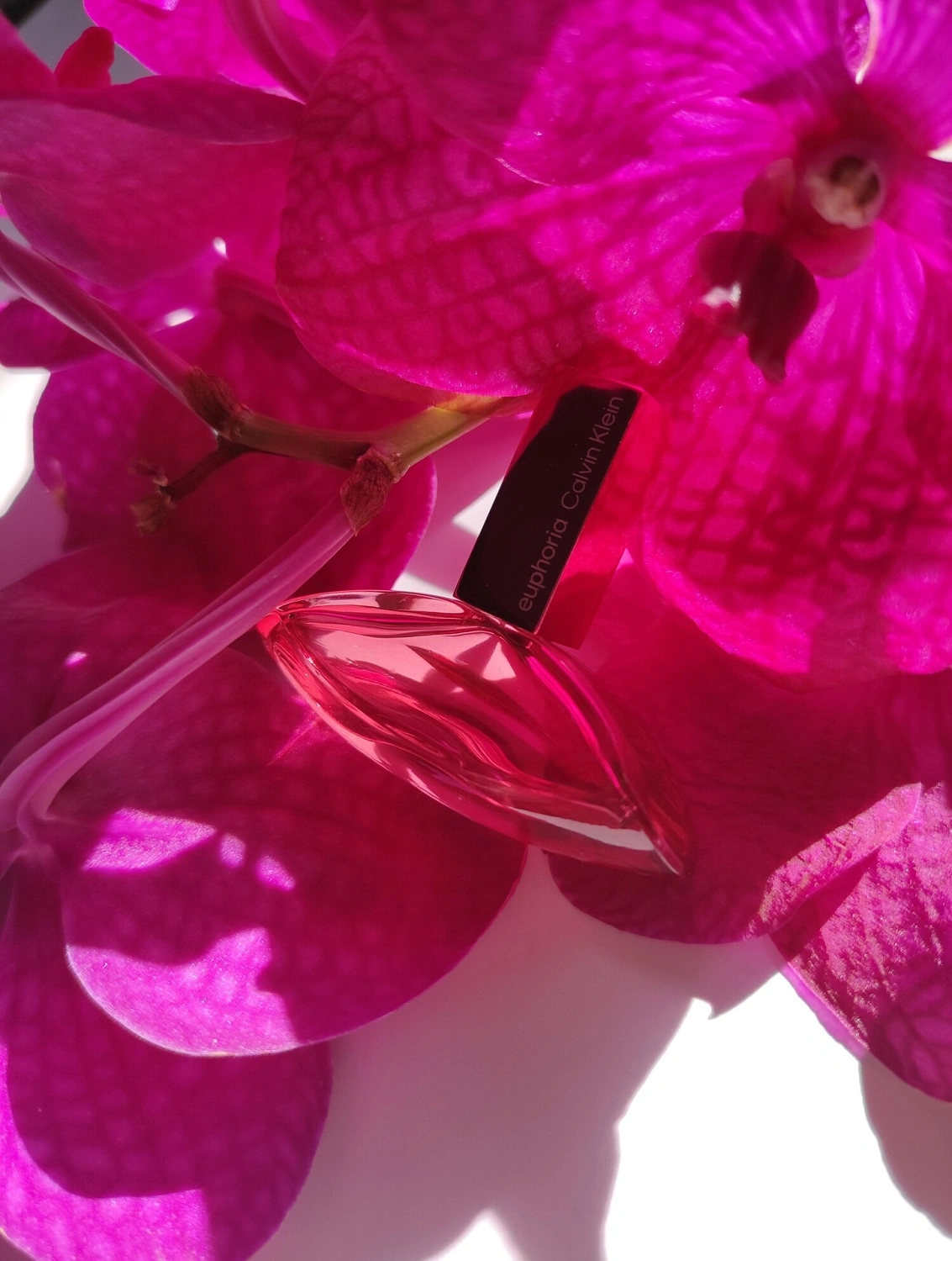 Calvin Klein Euphoria Magnetic Elixir