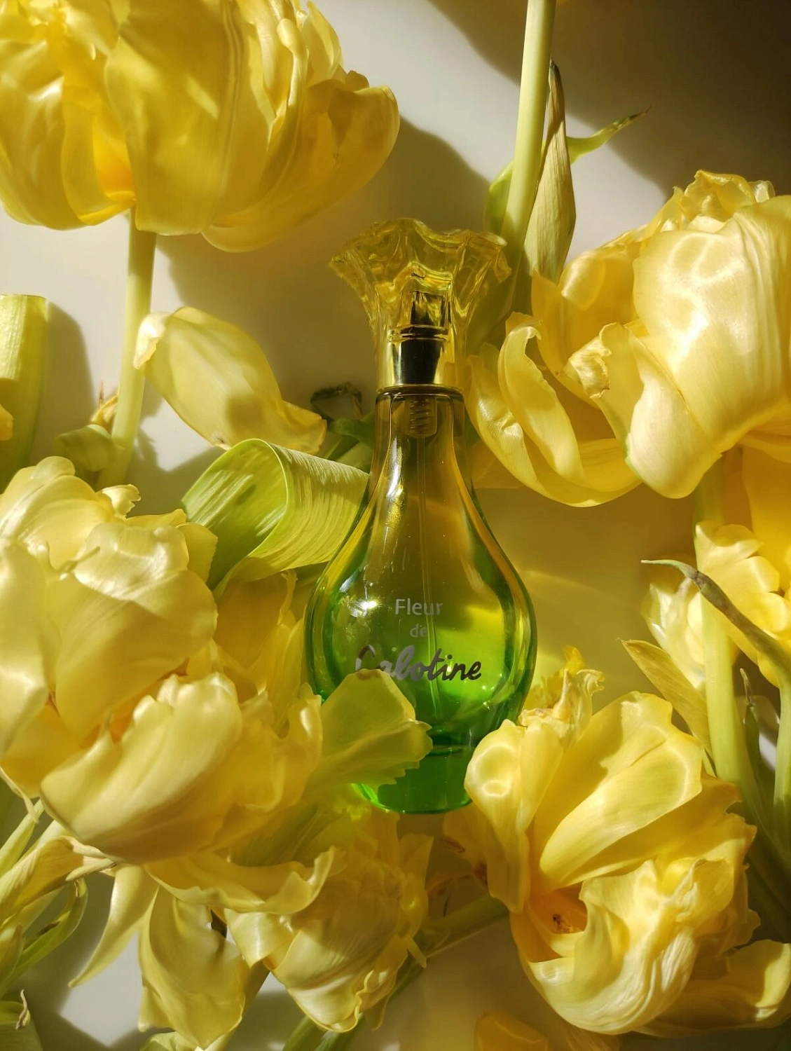 Gres Fleur De Cabotine