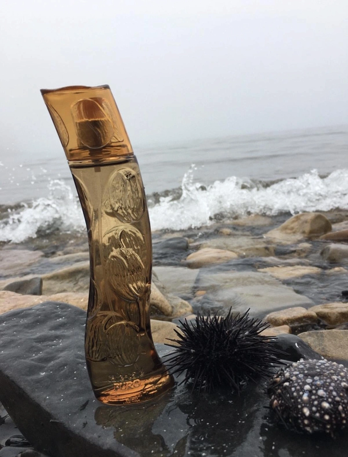 Cafe Parfums Cafe-Cafe Puro Pour Homme