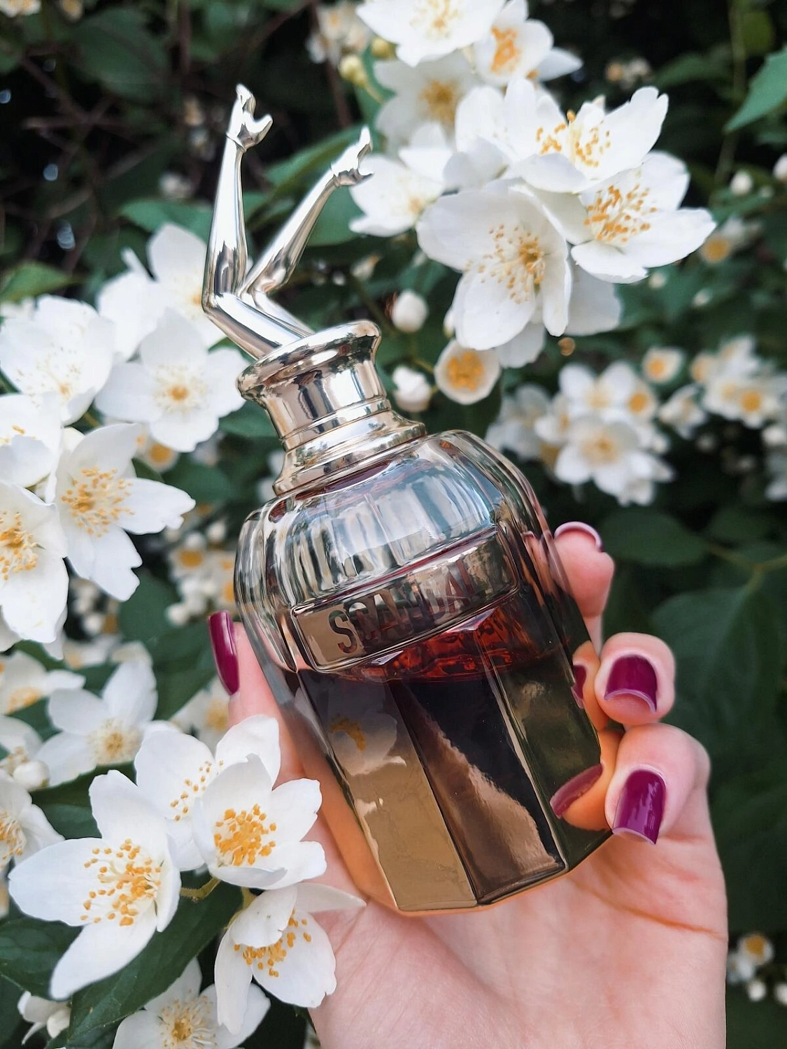 Jean Paul Gaultier Scandal Absolu Jean Paul Gaultier Scandal Absolu
