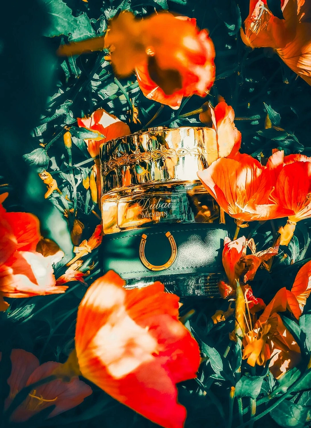 The Spirit of Dubai Meydan