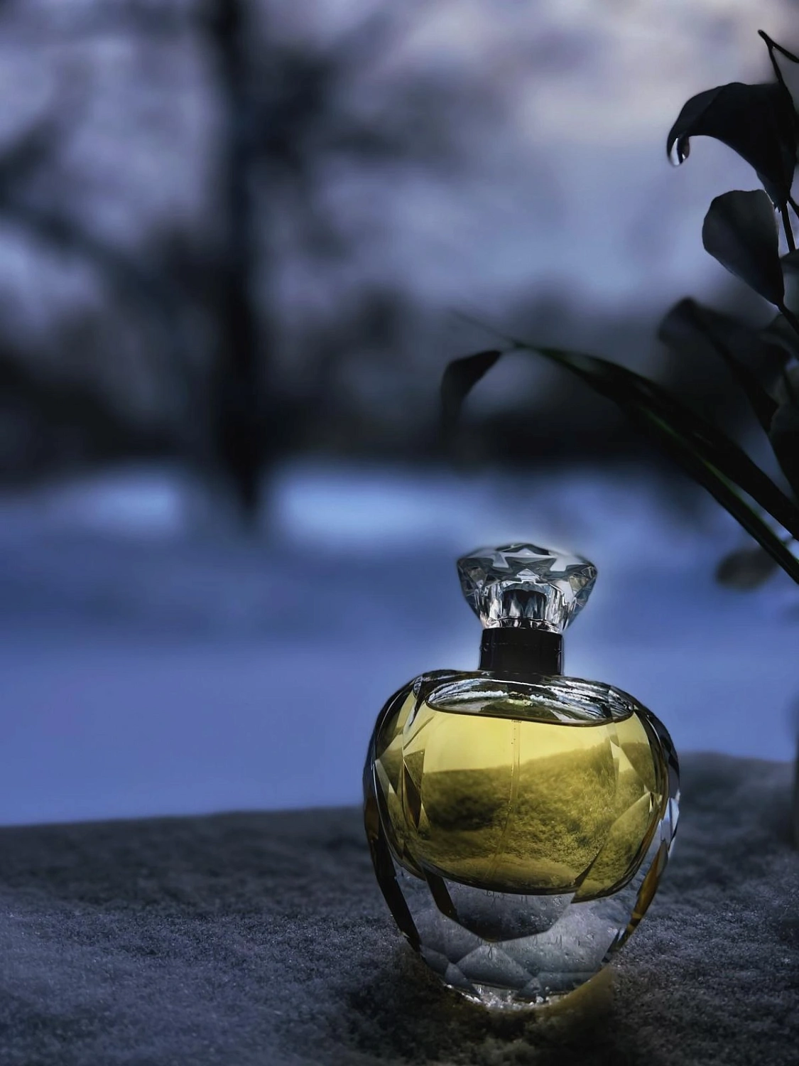 Cosmogony Moon Light