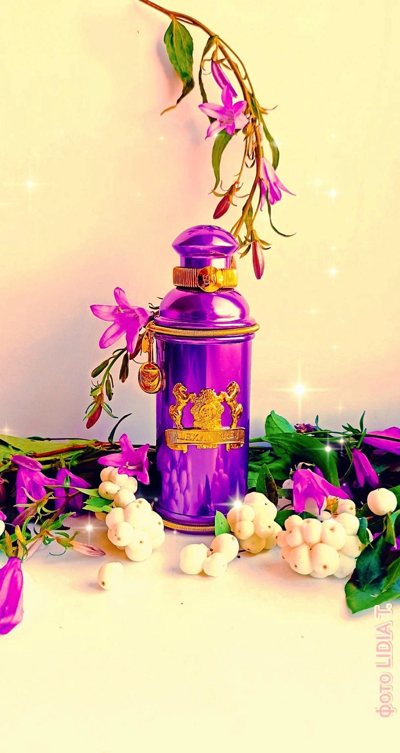 Alexandre J Iris Violet