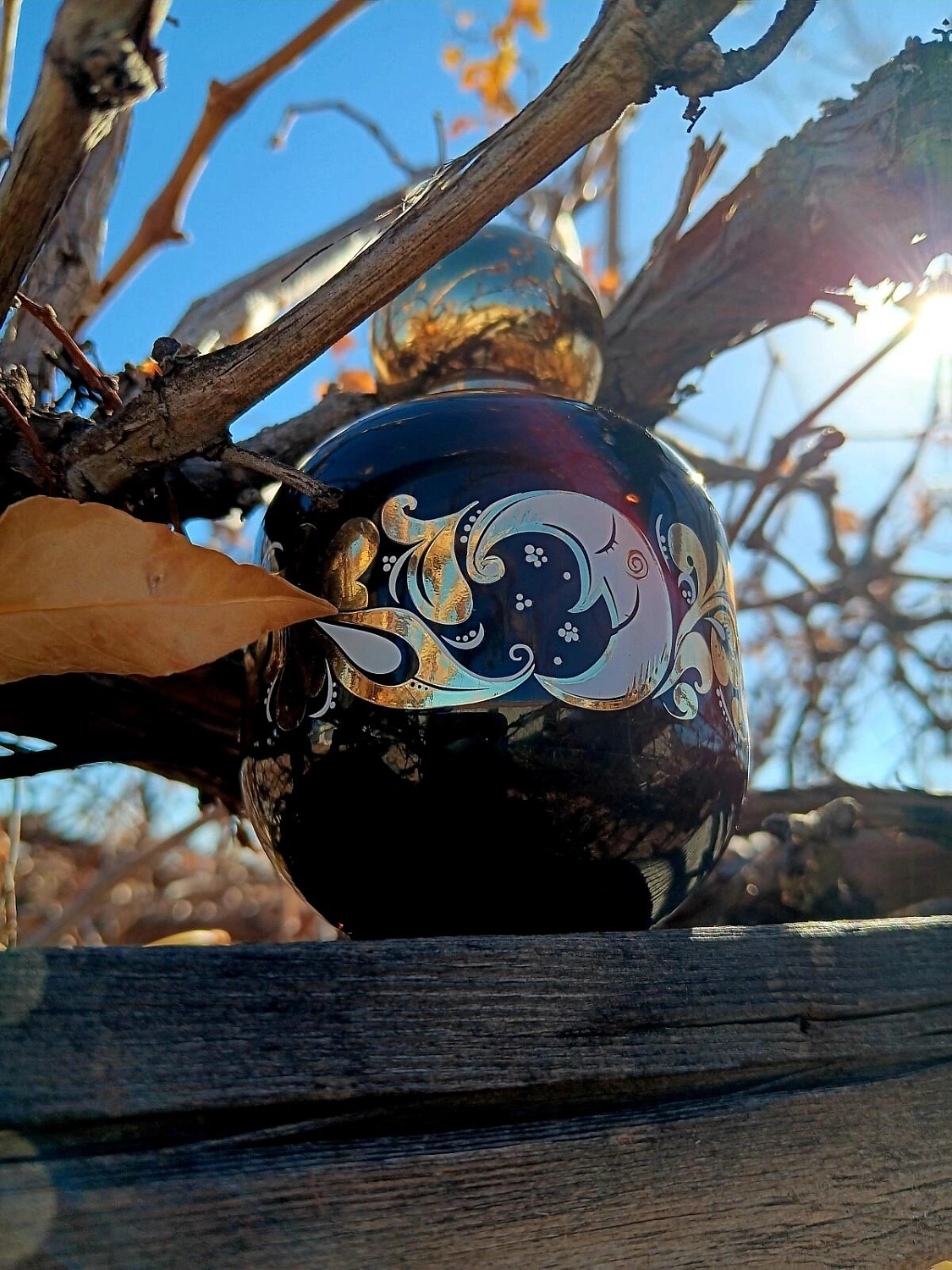 The Vagabond Prince Enchanted Forest