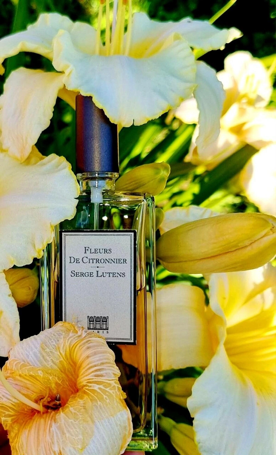 Serge Lutens Fleurs de Citronnier