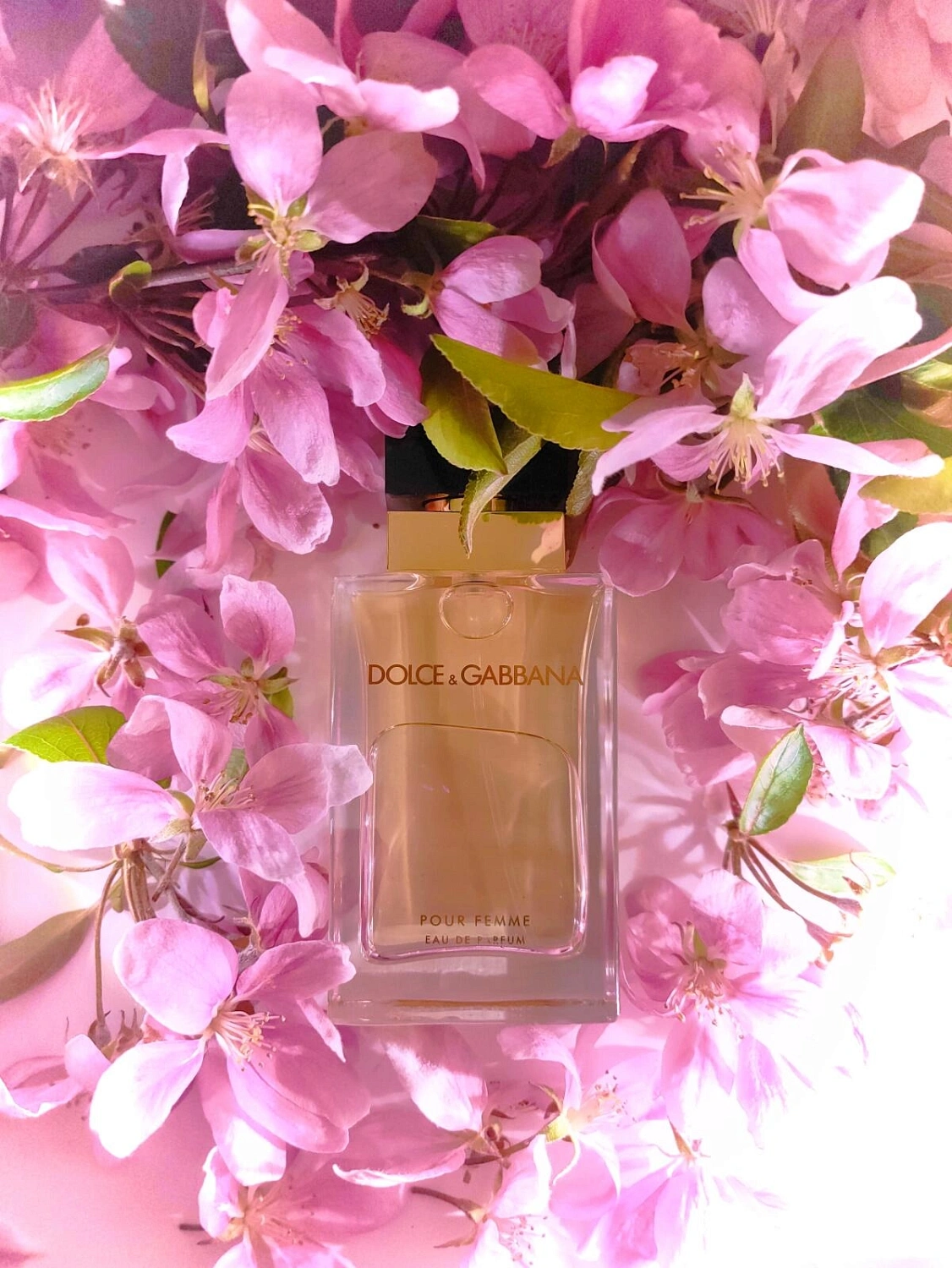 DOLCE & GABBANA Dolce&Gabbana Pour Femme DOLCE & GABBANA Dolce&Gabbana Pour Femme