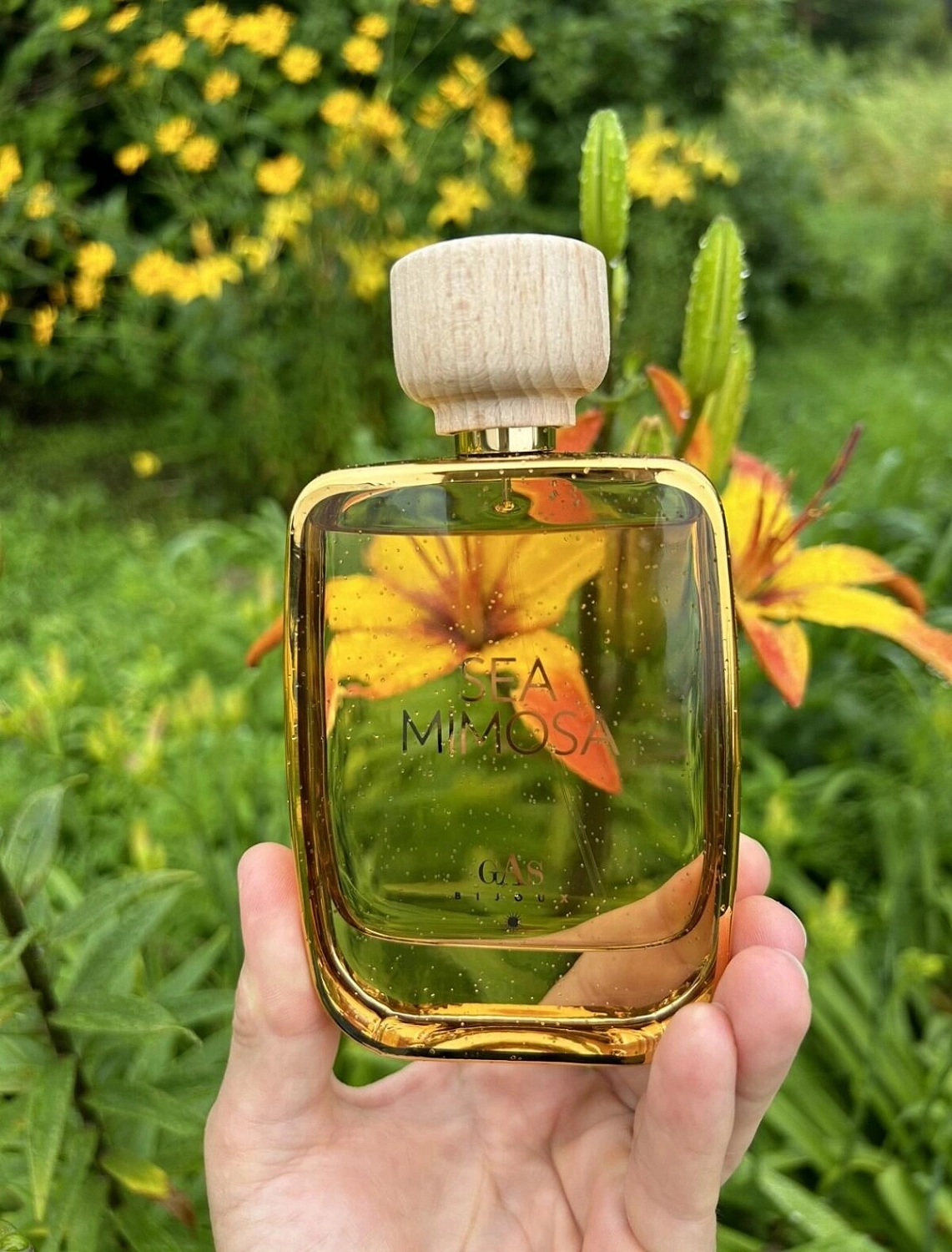 Gas Bijoux Sea Mimosa