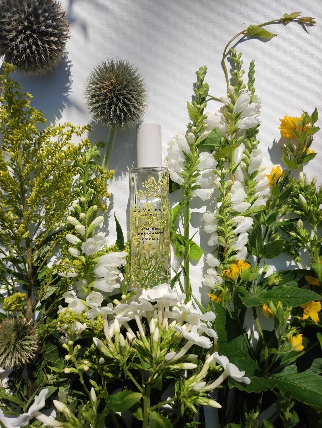 Jo Malone Hemlock & Bergamot