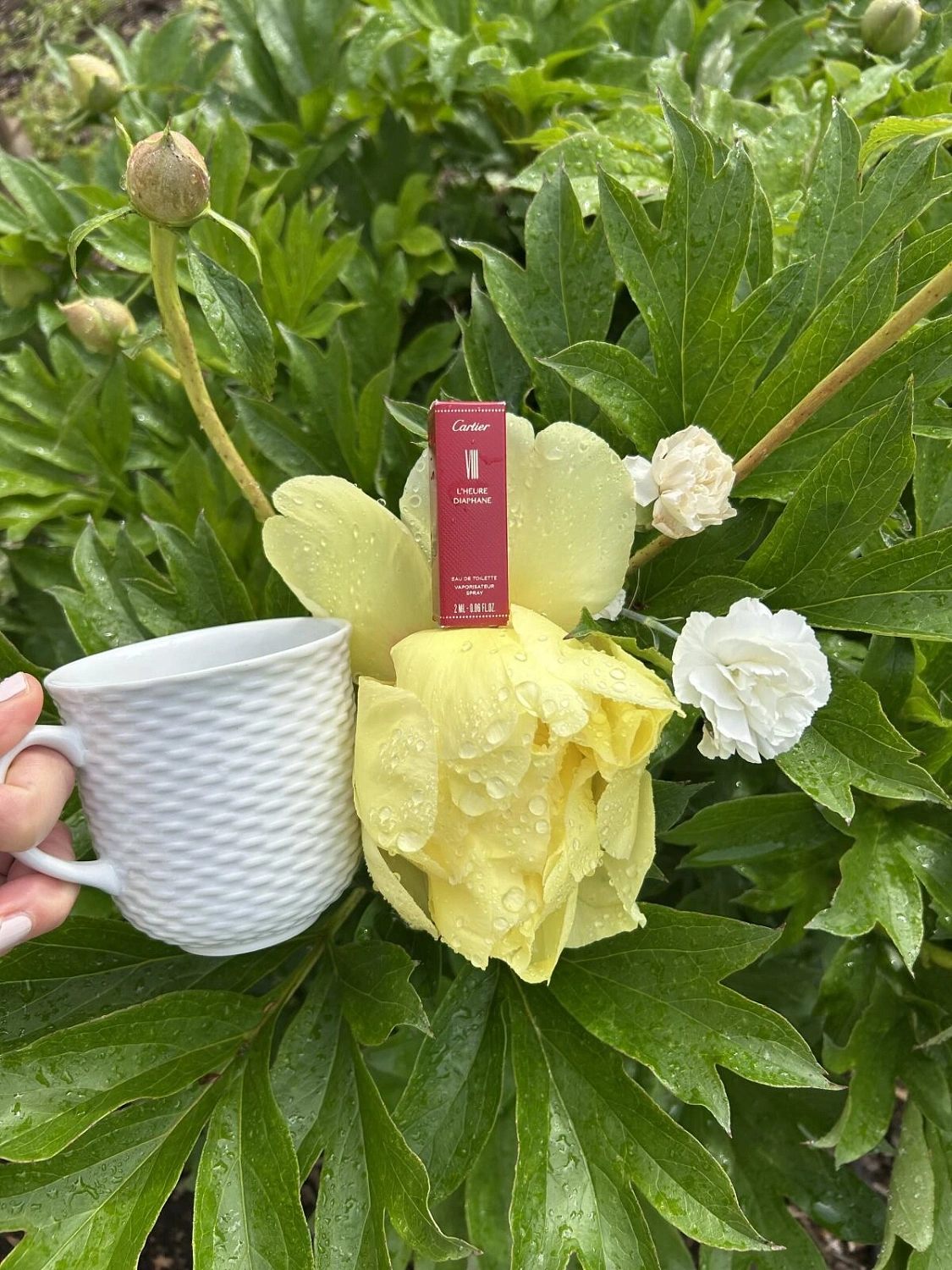 Cartier L’Heure Diaphane VIII