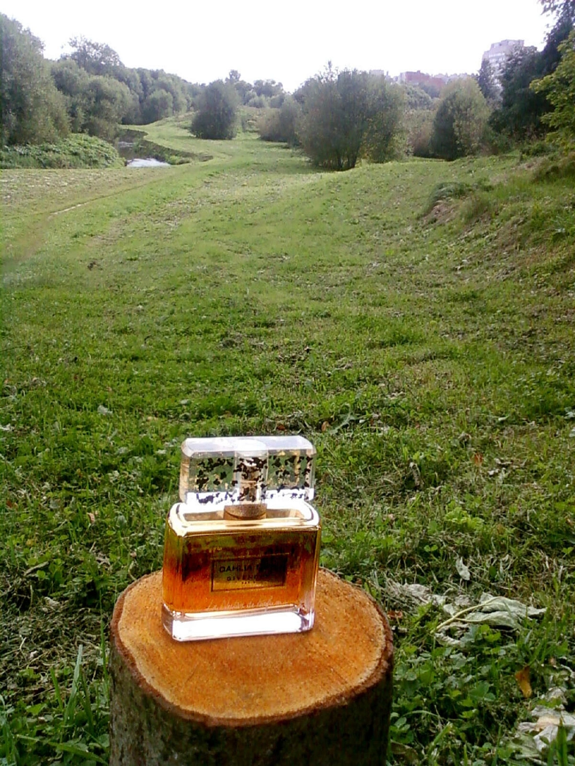 GIVENCHY Dahlia Divin Le Nectar de Parfum