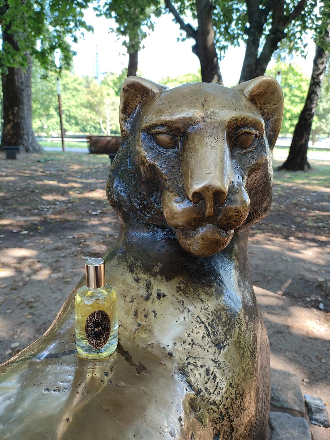 Phaedon Rouge Avignon