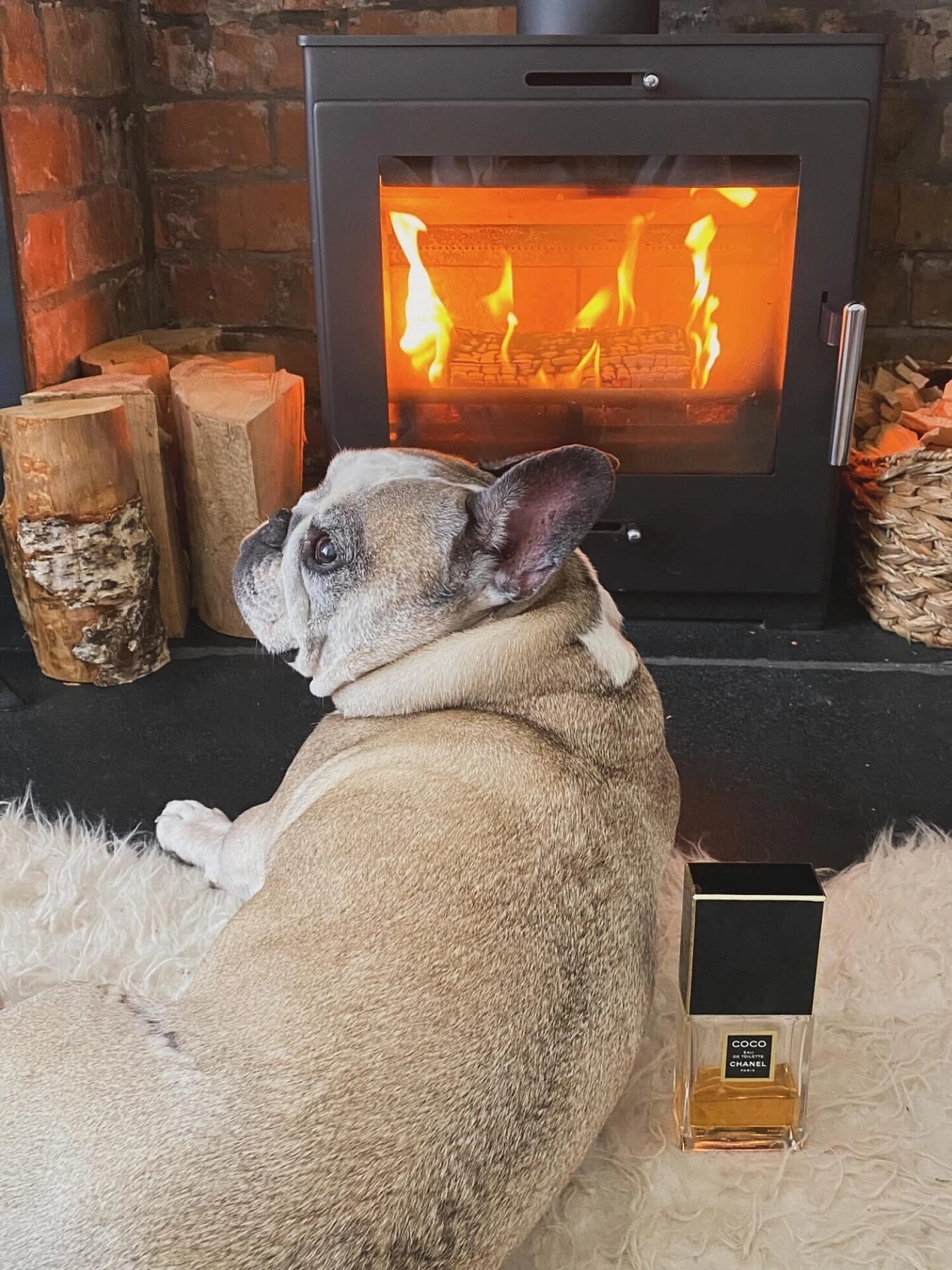 Chanel Coco Eau de Toilette