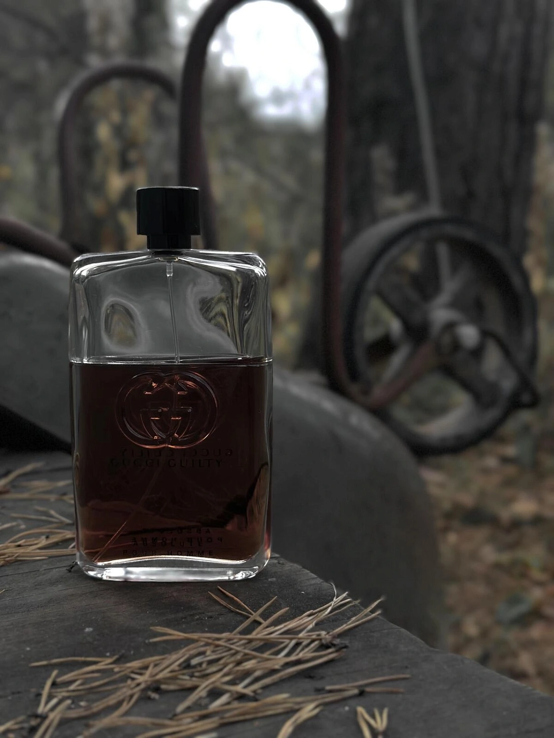 Gucci Guilty Absolute