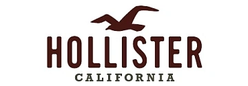 HOLLISTER HOLLISTER
