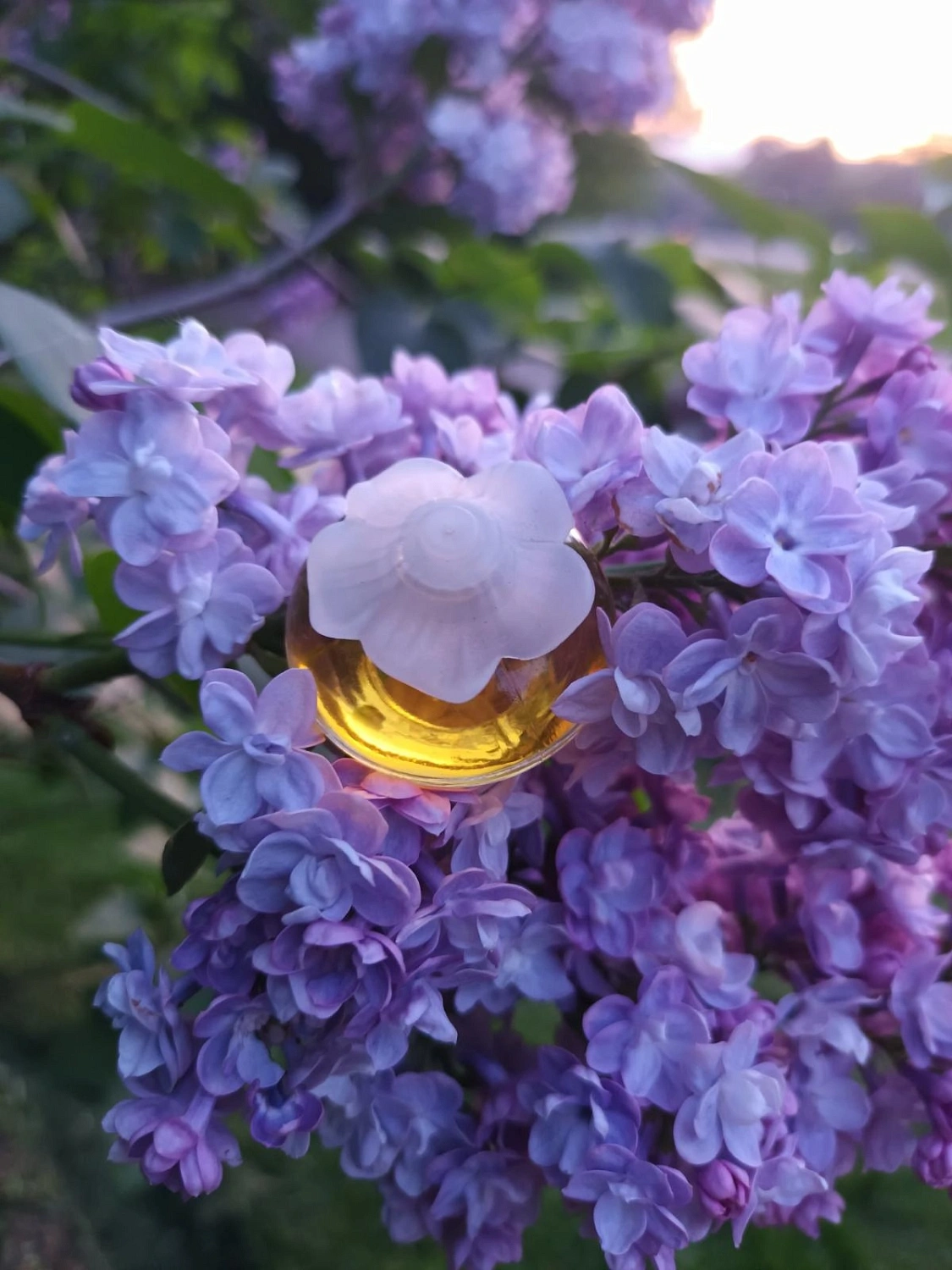 NINA RICCI Eau de Fleurs NINA RICCI Eau de Fleurs