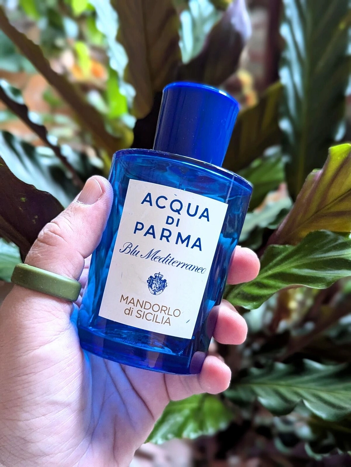 Acqua di Parma Mandorlo di Sicilia