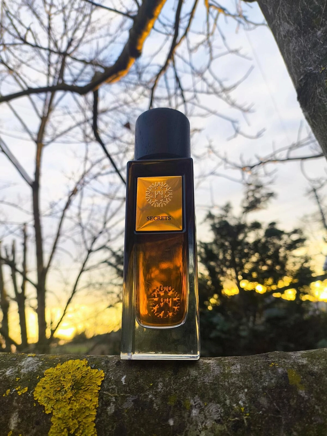 The Woods Collection Secret