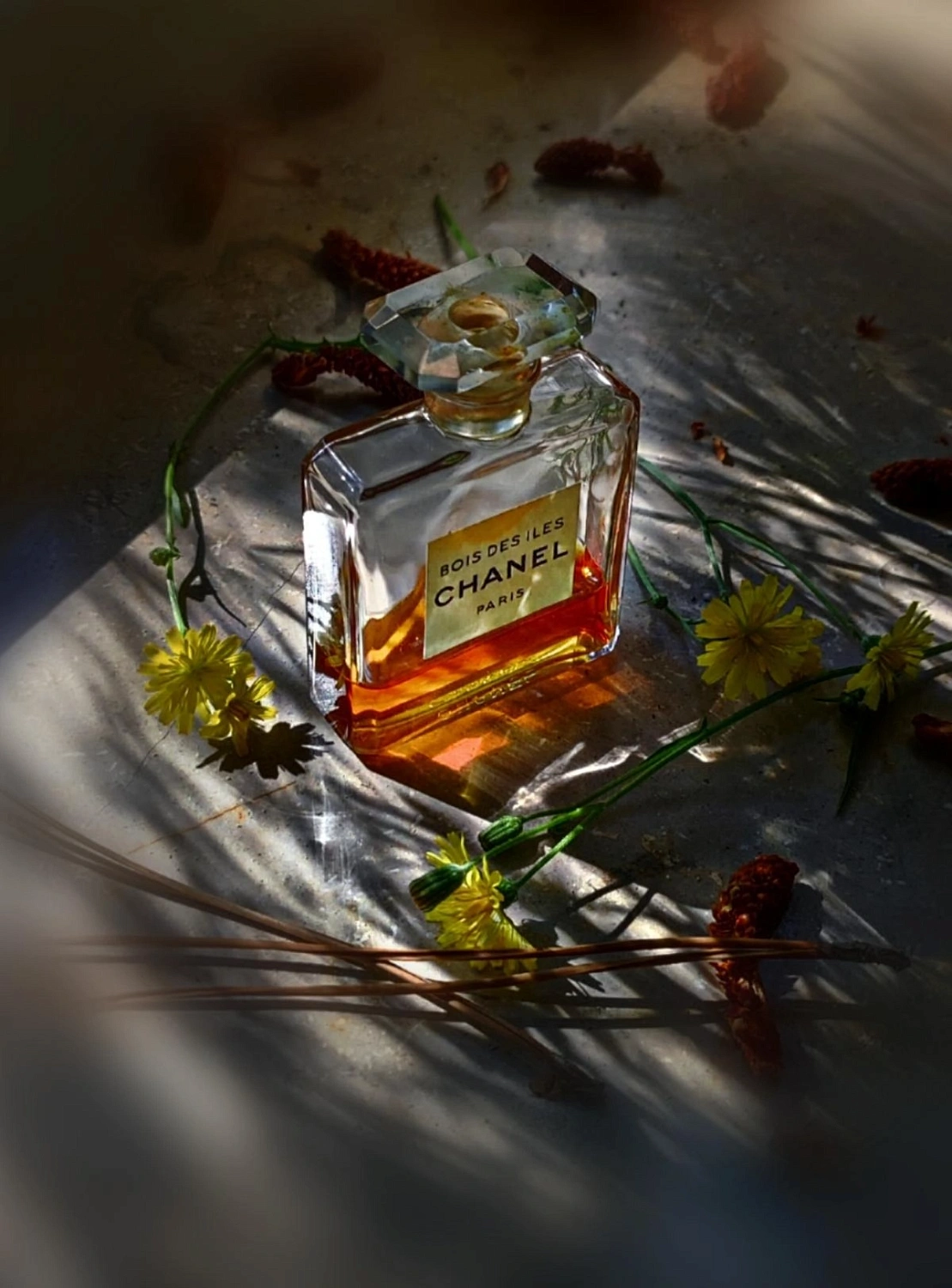 Chanel Bois des Iles