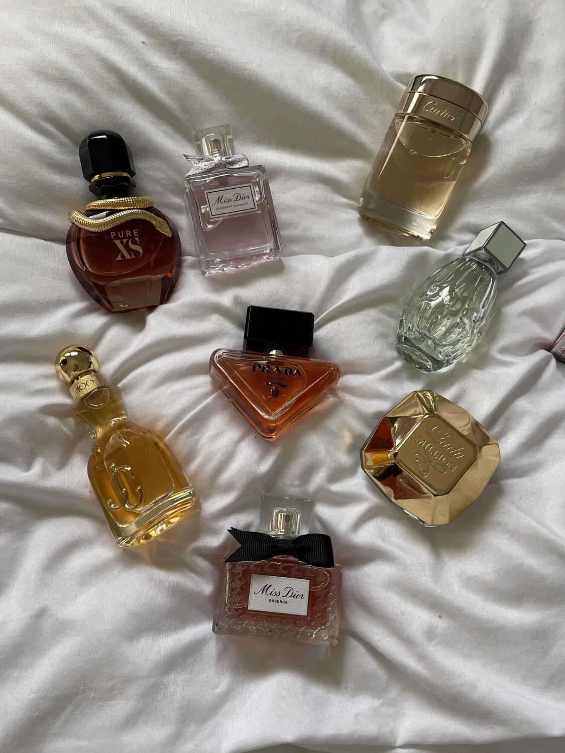 Jimmy Choo Floral
