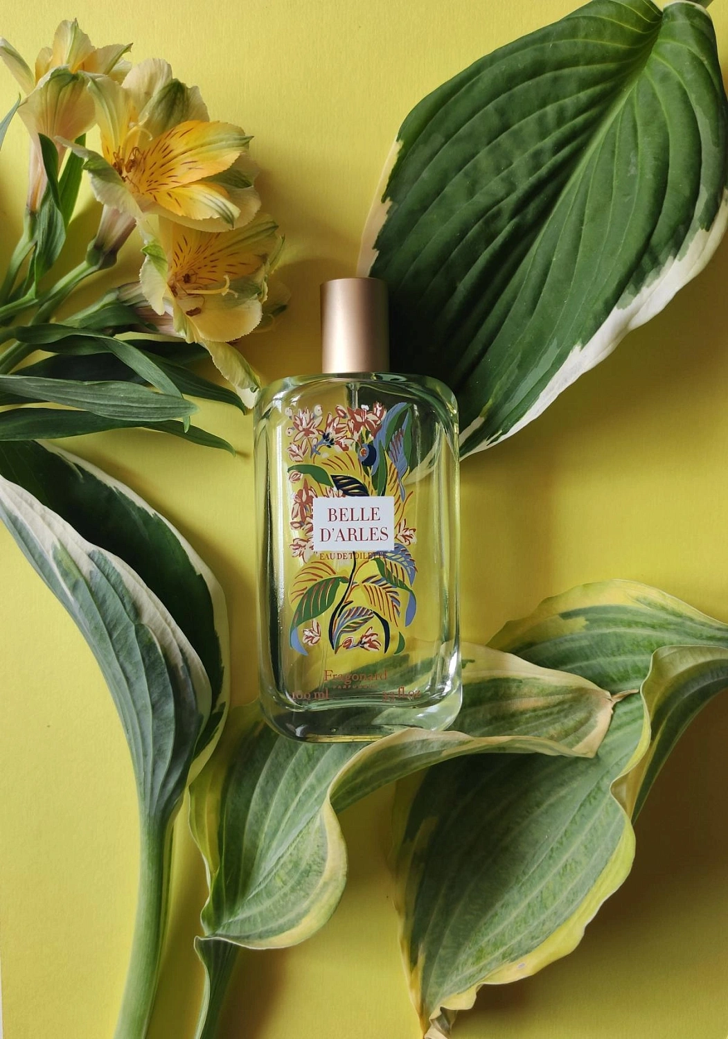 Fragonard Belle d'Arles