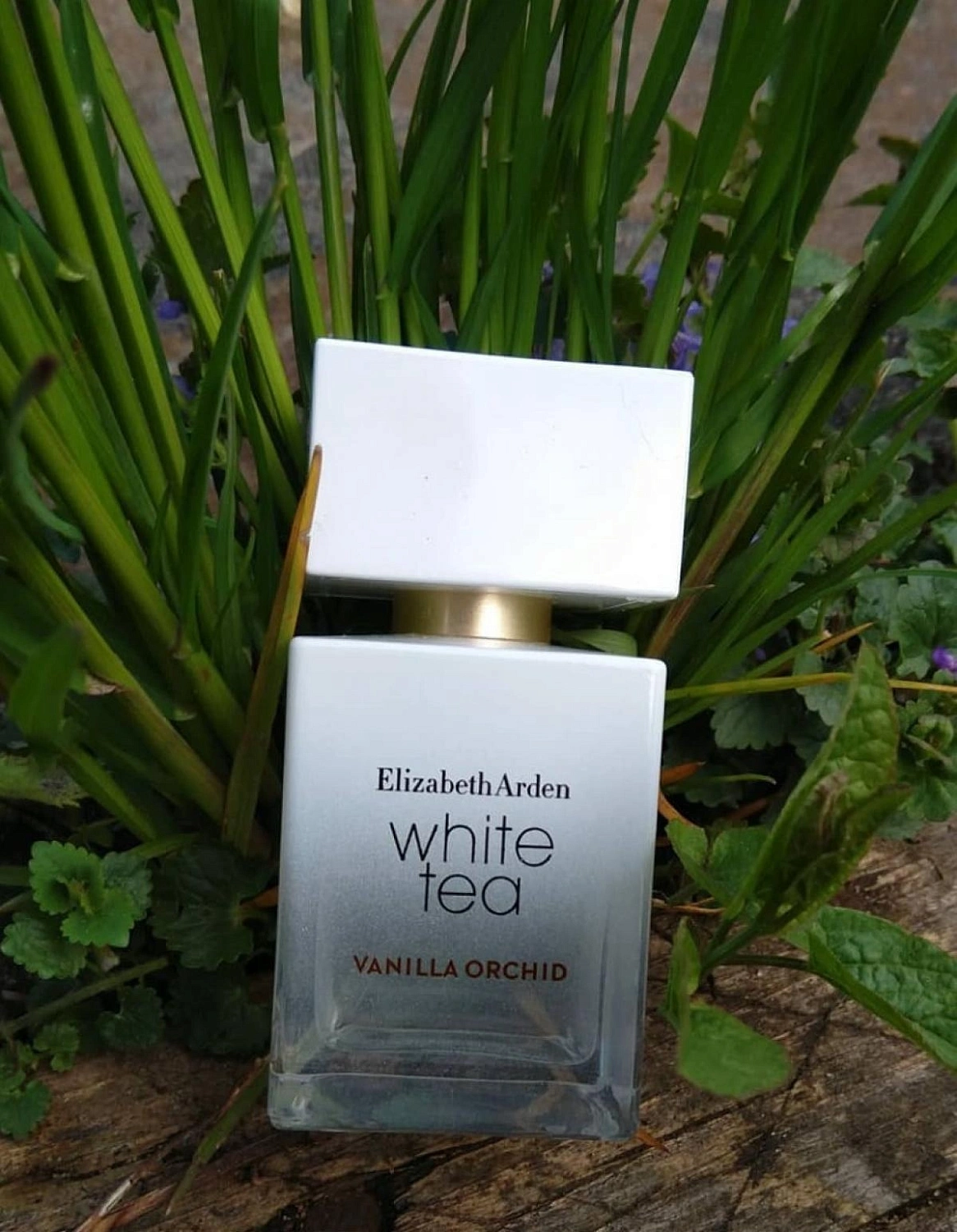 Elizabeth Arden White Tea Vanilla Orchid