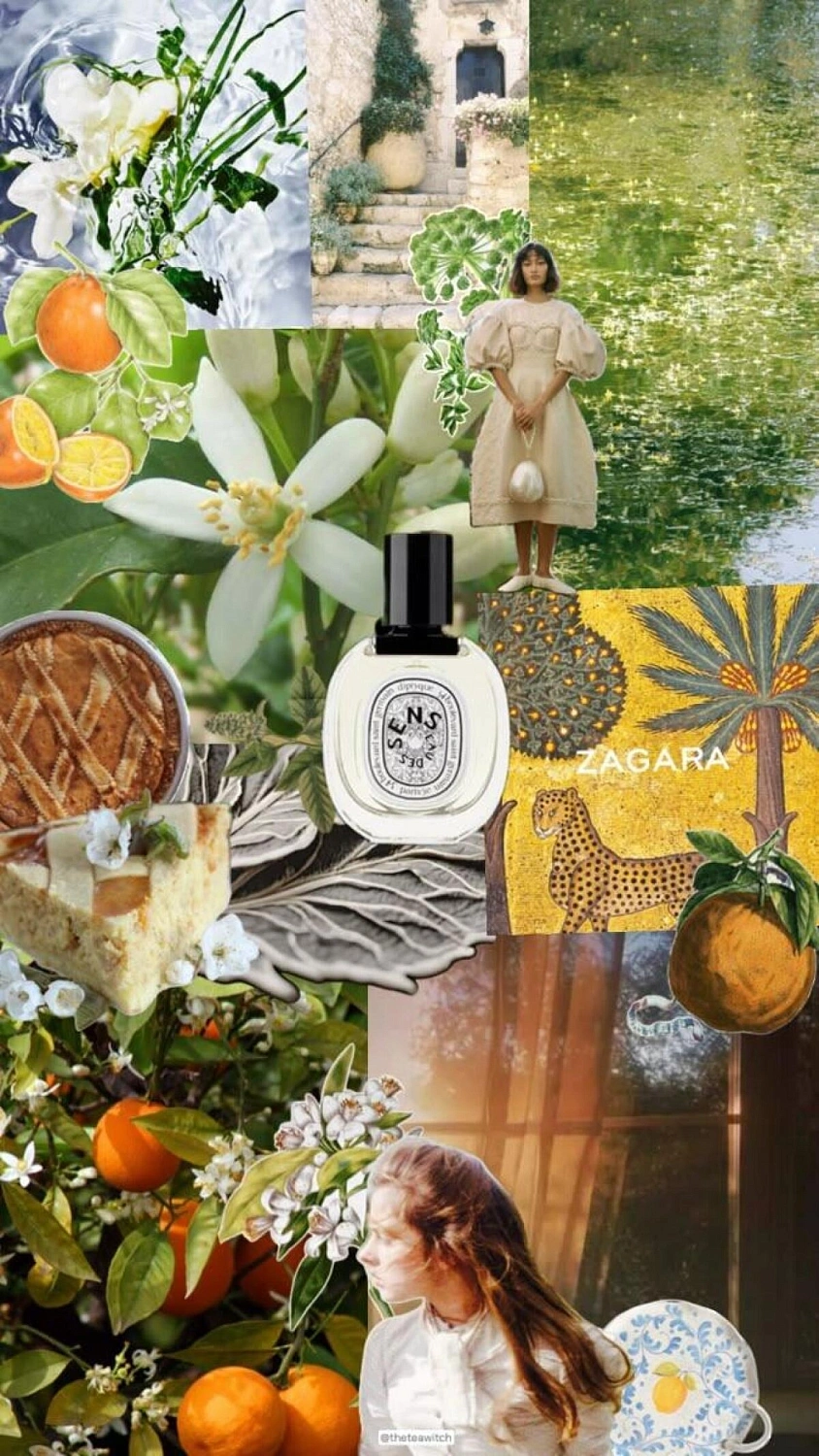Diptyque Eau Des Sens