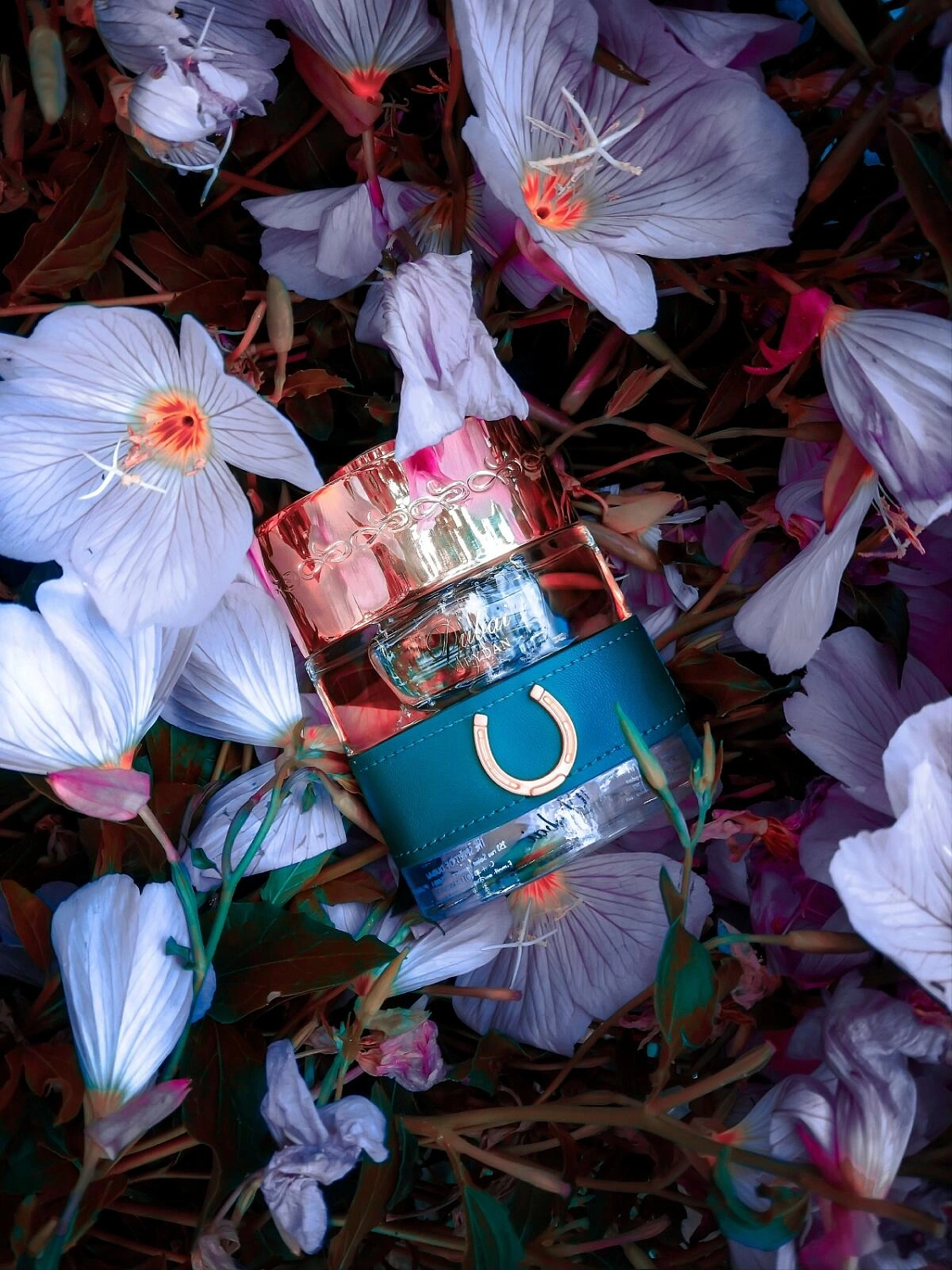 The Spirit of Dubai Meydan