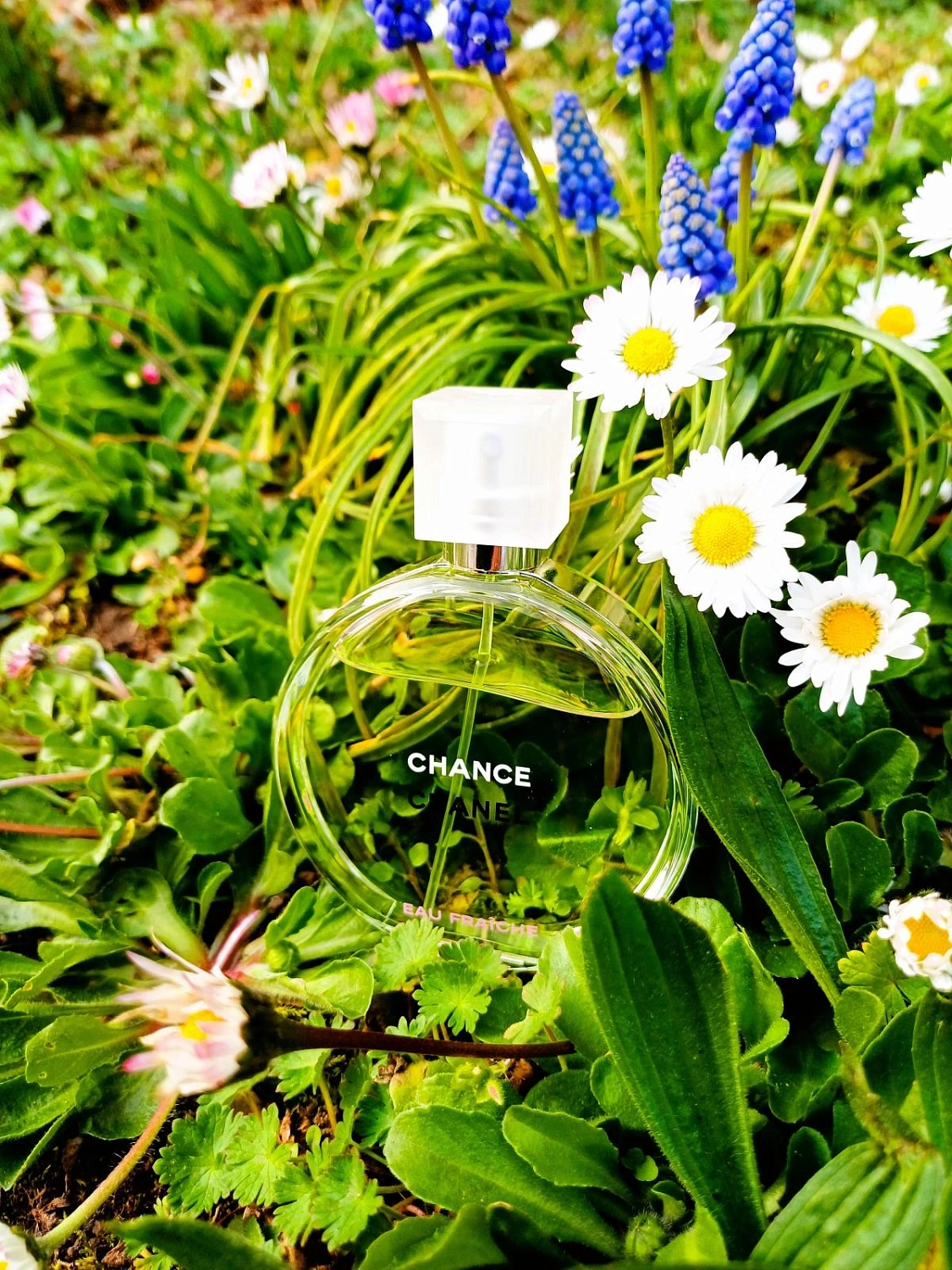 Chanel Chance Eau Fraiche Chanel Chance Eau Fraiche