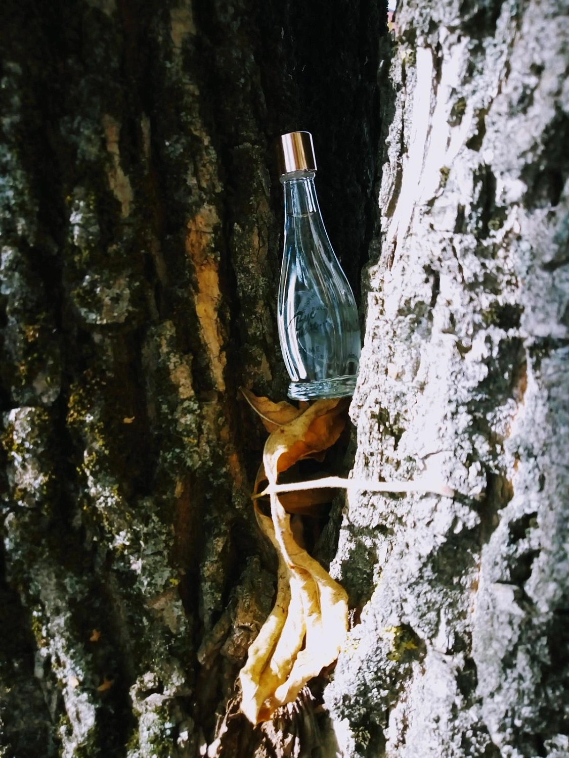 Pani Walewska Byc moze Rome