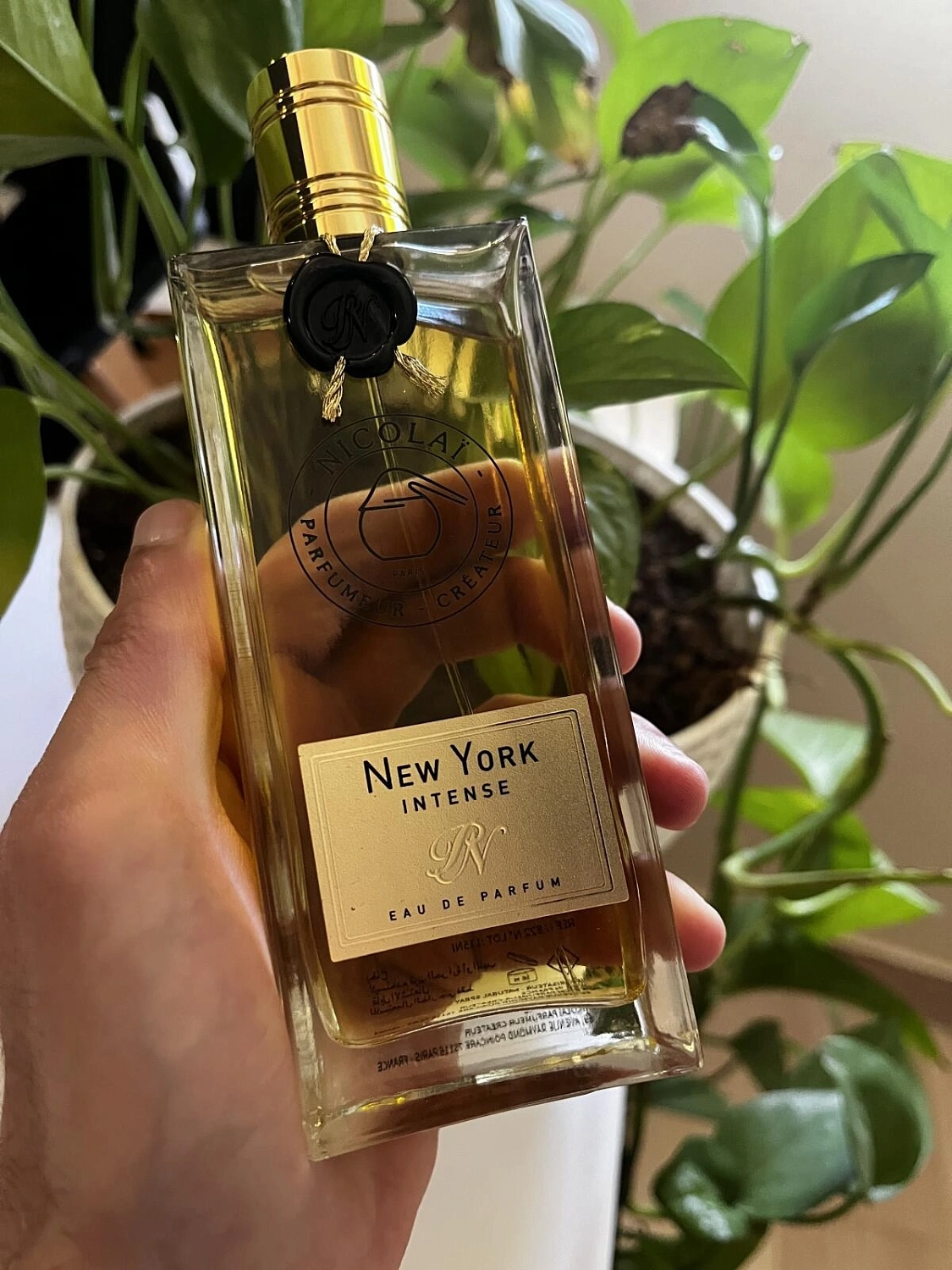 NICOLAI New York Intense