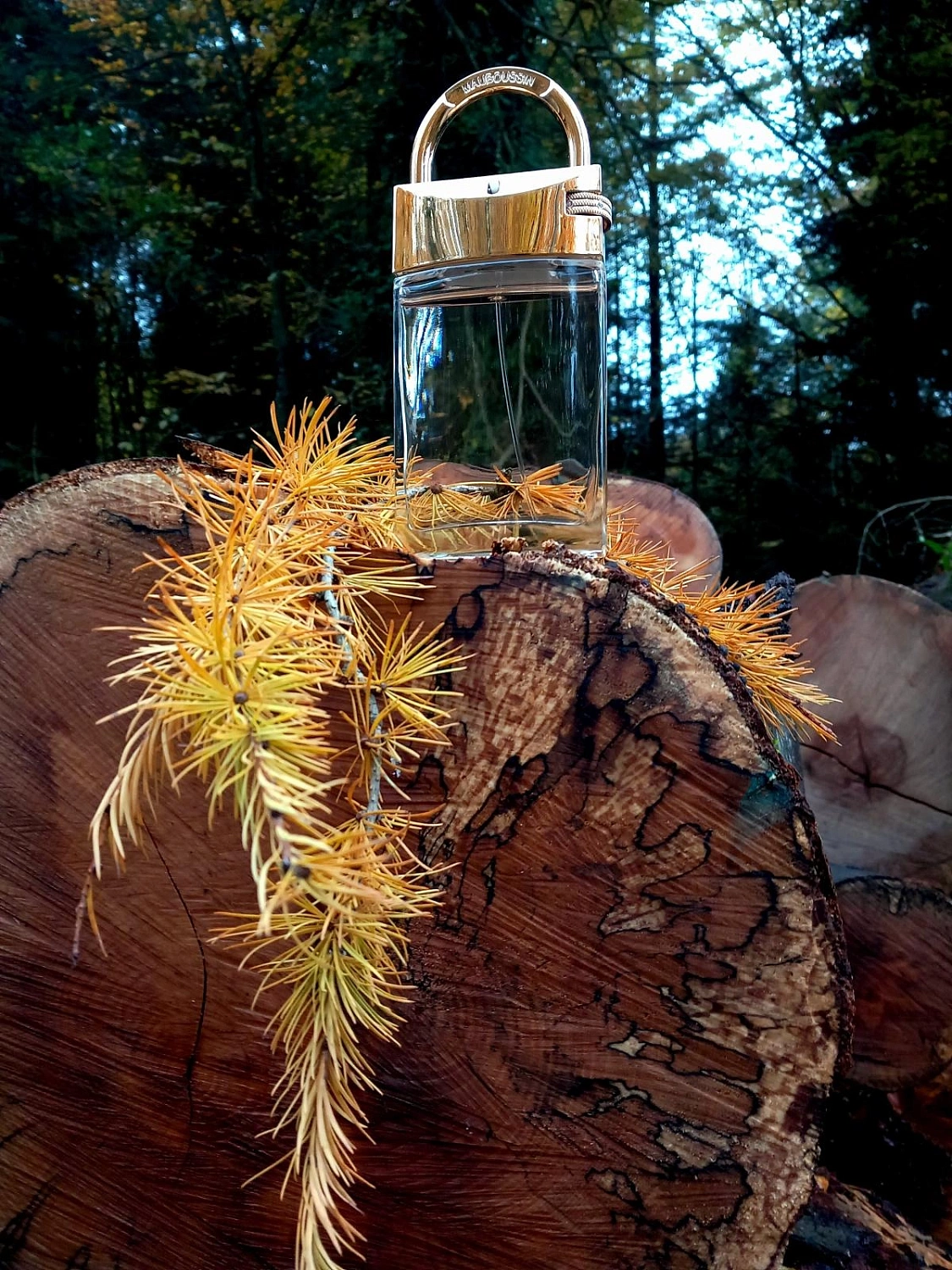 Mauboussin Promise Me