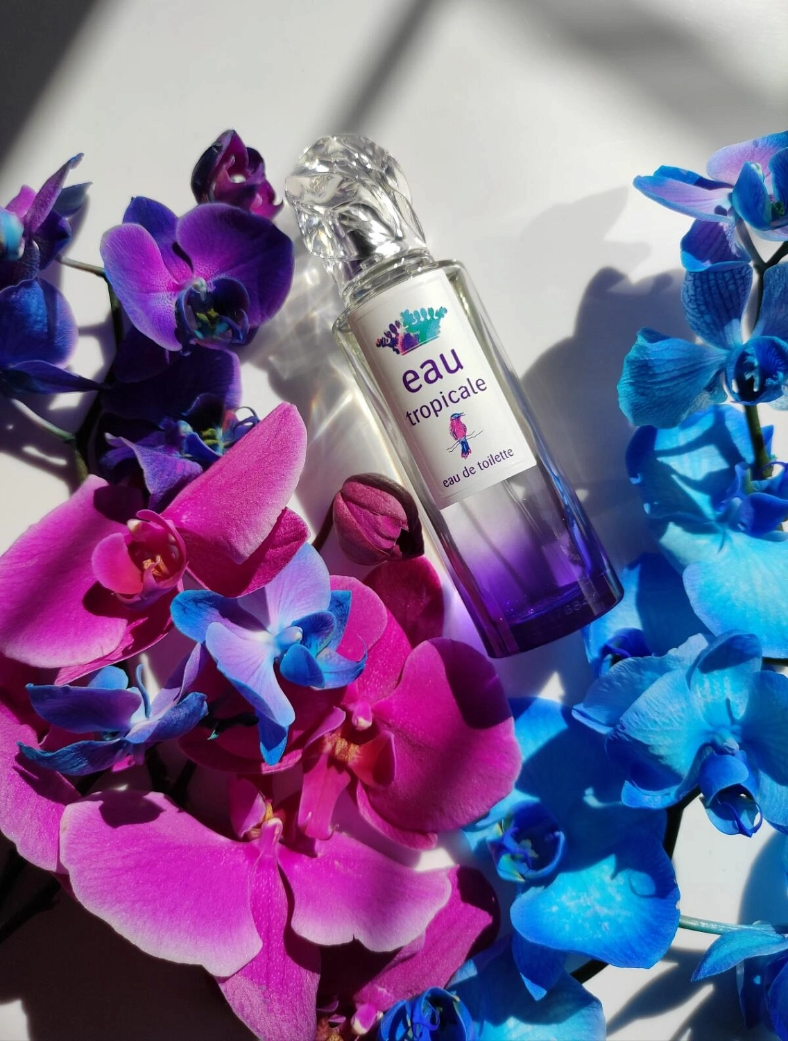 Sisley Eau Tropicale