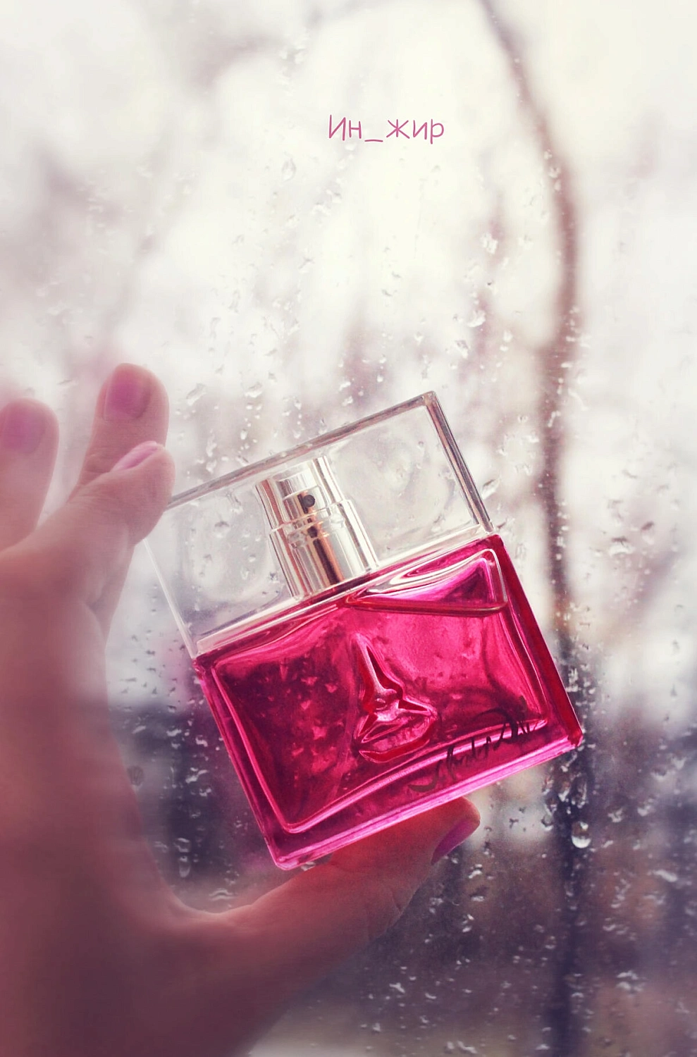 Salvador Dali Sun & Roses