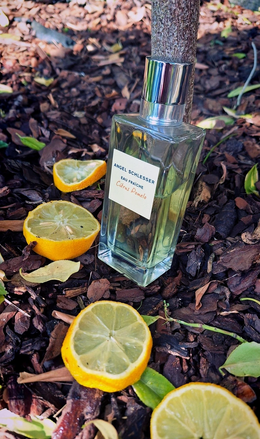 Angel Schlesser Eau Fraiche Citrus Pomelo Angel Schlesser Eau Fraiche Citrus Pomelo